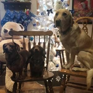 Meet your Posher, Jade